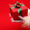 クリスマスに贈ると喜ぶプレゼントって？男女別の選ぶポイントや言葉は？